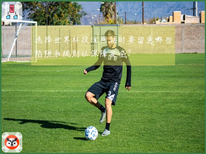 选择世界杯投注网站时要留意哪些陷阱和规则以保障安全？