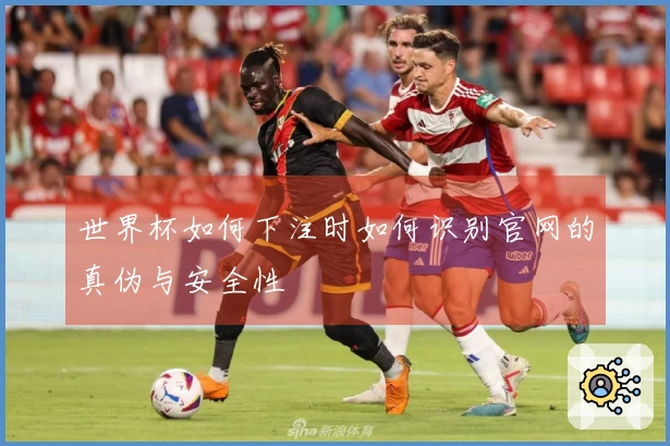 世界杯如何下注时如何识别官网的真伪与安全性
