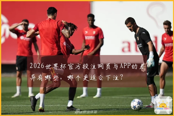 2026世界杯官方投注网页与APP的差异有哪些，哪个更适合下注？