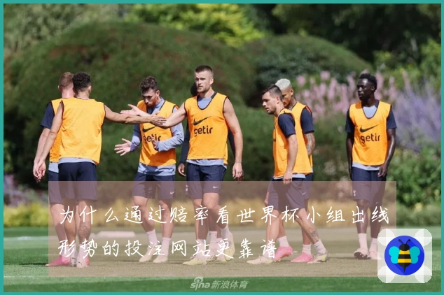 为什么通过赔率看世界杯小组出线形势的投注网站更靠谱